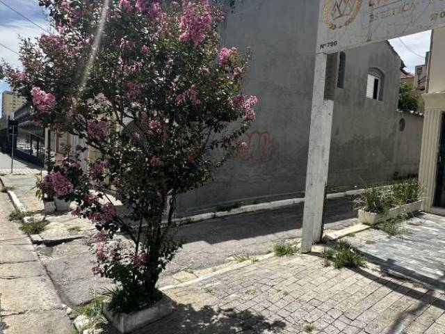 #6925 - Casa para Locação em São Paulo - SP - 3